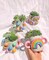 Retro Eclectic Colorful Planters, Cute Ceramic Planter, Rainbow Pot Planter, Modern ceramic planter, Boho home decor, plant lover gifts product 2